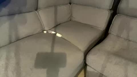 facesd online show from 02.02.25