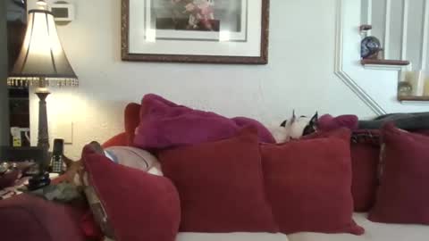 fairmount31 online show from 02.13.26