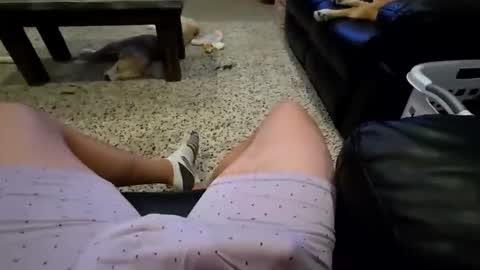 faker1414 online show from 02.02.26