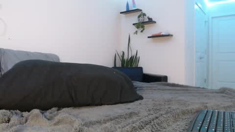 Fallon Gray online show from 03.08.25