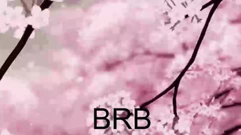 Anna Scovich online show from 10.10.25