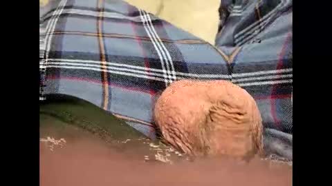 fartinmymouthplz online show from 11.18.25