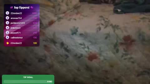 Snapshot of feetnymph chatting on 02.15.25 Soley online show from 02.15.25