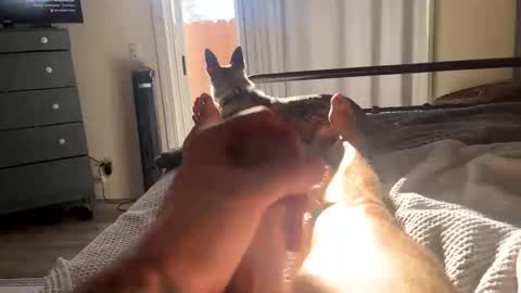 Snapshot of feetomines chatting on 10.18.25 FEETOMINES online show from 10.18.25