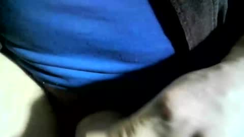 Snapshot of felicaste chatting on 01.24.25 felicaste online show from 01.24.25