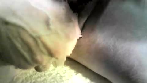 Snapshot of felicaste chatting on 10.09.25 felicaste online show from 10.09.25