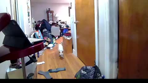 felicitybliss29 online show from 11.06.25