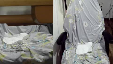 felixlau online show from 01.22.25