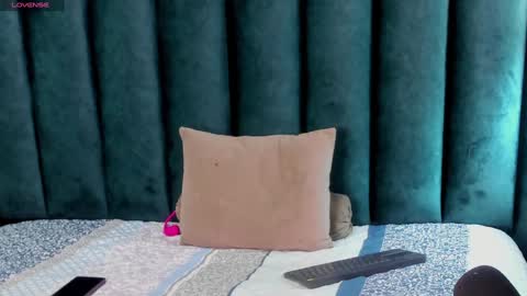 Snapshot of fenix_karoll chatting on 12.08.24 Karol online show from 12.08.24