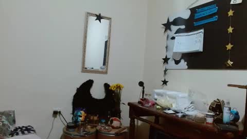 Snapshot of fenixmfx chatting on 10.17.25 Fenix online show from 10.17.25