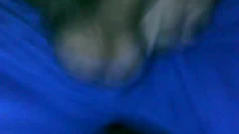 Snapshot of fer_2197 chatting on 01.23.25 fer_2197 online show from 01.23.25