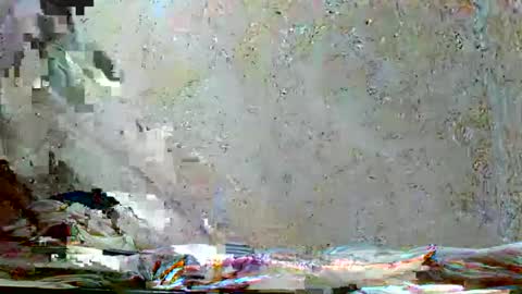 fernandez_latinblack online show from 11.18.25