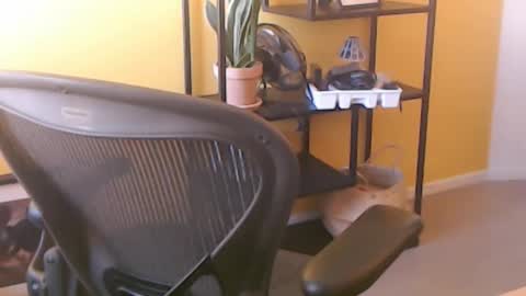 filip907 online show from 09.25.25