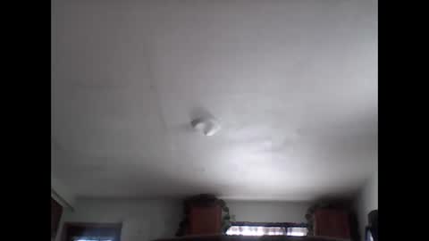 Brad online show from 11.29.25