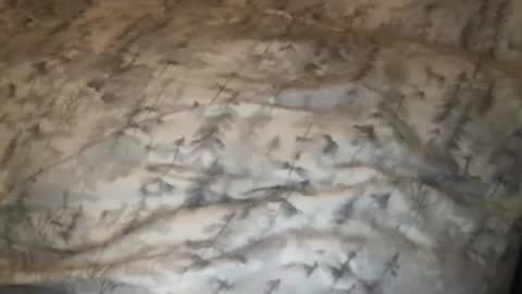 FitCollegeStudxx online show from 02.25.25