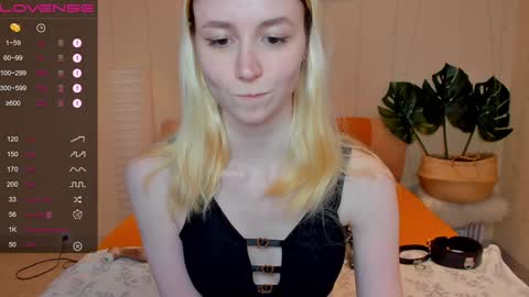 FlexiMona online show from 12.08.24