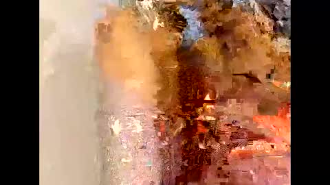 flexngudlit online show from 03.04.26