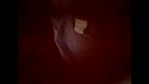 flexngudlit online show from 03.05.26