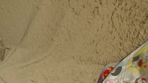 say meow and send tip  online show from 01.26.25