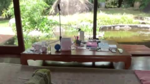 fluffy_bunnyxxx online show from 02.21.25