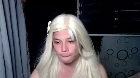 KITTY online show from 11.11.25