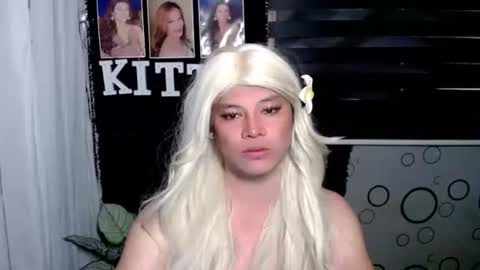 KITTY online show from 11.16.25