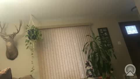 Frank online show from 01.06.26