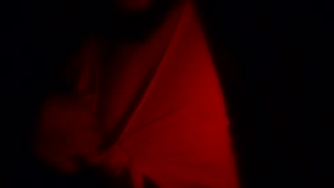 Snapshot of freaky_d48 chatting on 11.12.25 freaky_d48 online show from 11.12.25