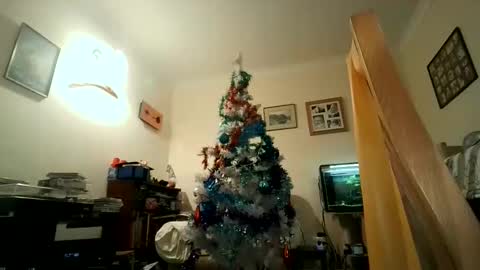 Keith online show from 12.05.24