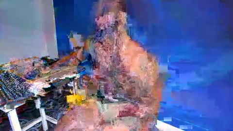 Snapshot of freedom_24 chatting on 05.24.26 shakur online show from 05.24.26