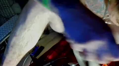 freeman2doyou2 online show from 12.22.24