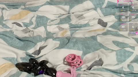 Meadow online show from 02.27.25