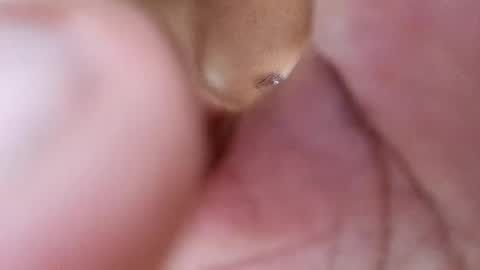 Snapshot of frey212121 chatting on 02.17.25 Phantom online show from 02.17.25