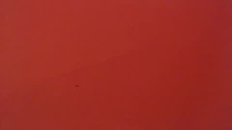 FREYJA LOREN online show from 02.06.25