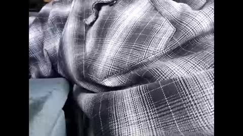 Snapshot of frickish chatting on 01.21.25 Frickish online show from 01.21.25