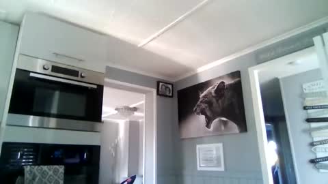 Snapshot of friskyneedsum chatting on 12.02.25 bob online show from 12.02.25