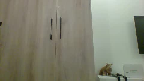 Prince online show from 11.13.25