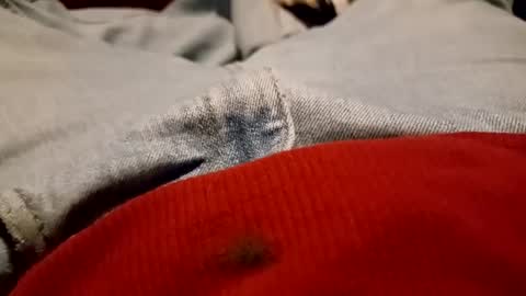 funncountry online show from 12.09.24