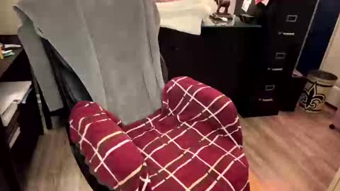 Snapshot of furryhugs69 chatting on 02.21.25 Erich online show from 02.21.25