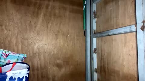 Snapshot of fvckingscarlet chatting on 11.23.25 fvckingscarlet online show from 11.23.25