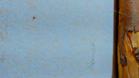 gabo_horny01 online show from 07.20.26