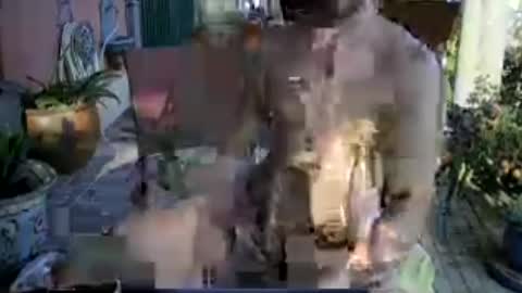 galleguin1 online show from 06.13.26