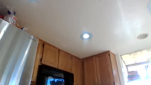 gangdrewski online show from 03.08.26