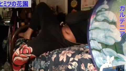 Gardenia online show from 12.15.24