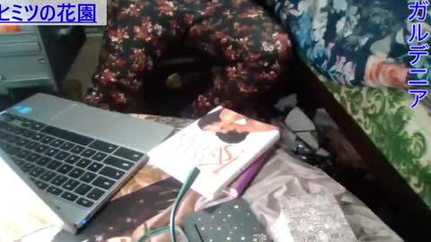 Gardenia online show from 12.23.24