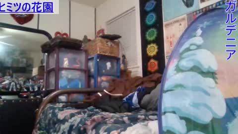 Gardenia online show from 01.29.25