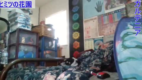 Gardenia online show from 02.26.25