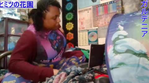 Gardenia online show from 03.06.25