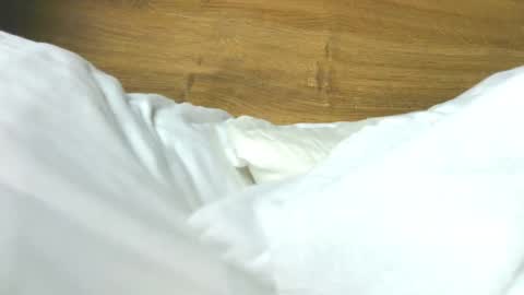 Rose online show from 02.07.26