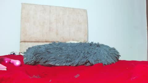 gatita13333321 online show from 01.26.25